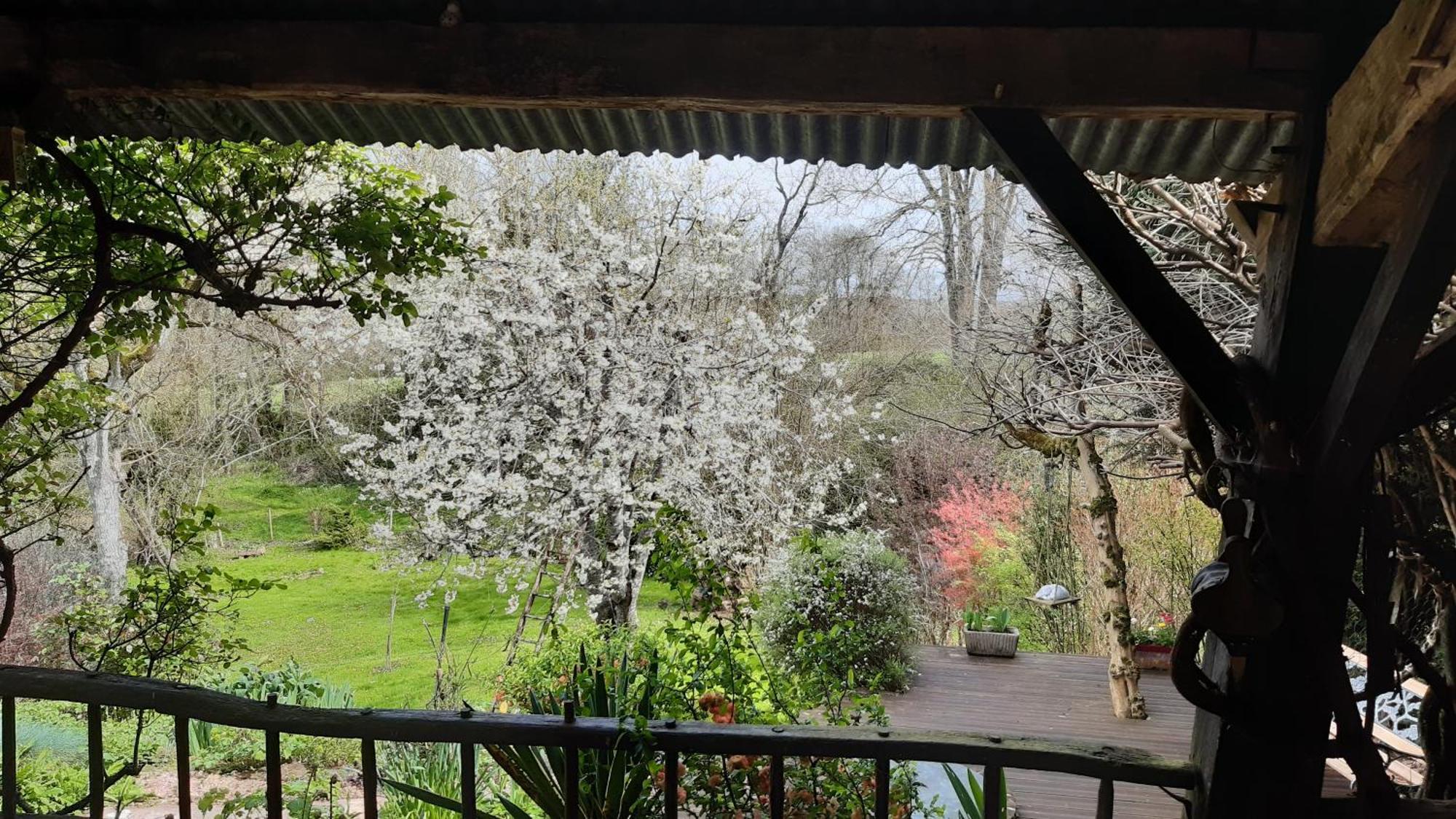 Au Coeur Des Loges Bed and Breakfast Saint-Bonnet-de-Bellac Εξωτερικό φωτογραφία